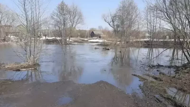 В Пичаевском округе затопило низководный мост в районе села Волхонщина