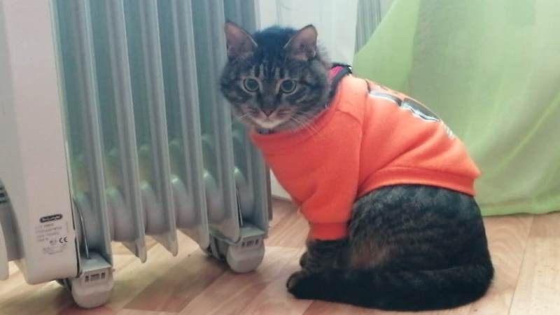 Максим Косенков задал горожанам вопрос об окончании отопительного сезона в Тамбове