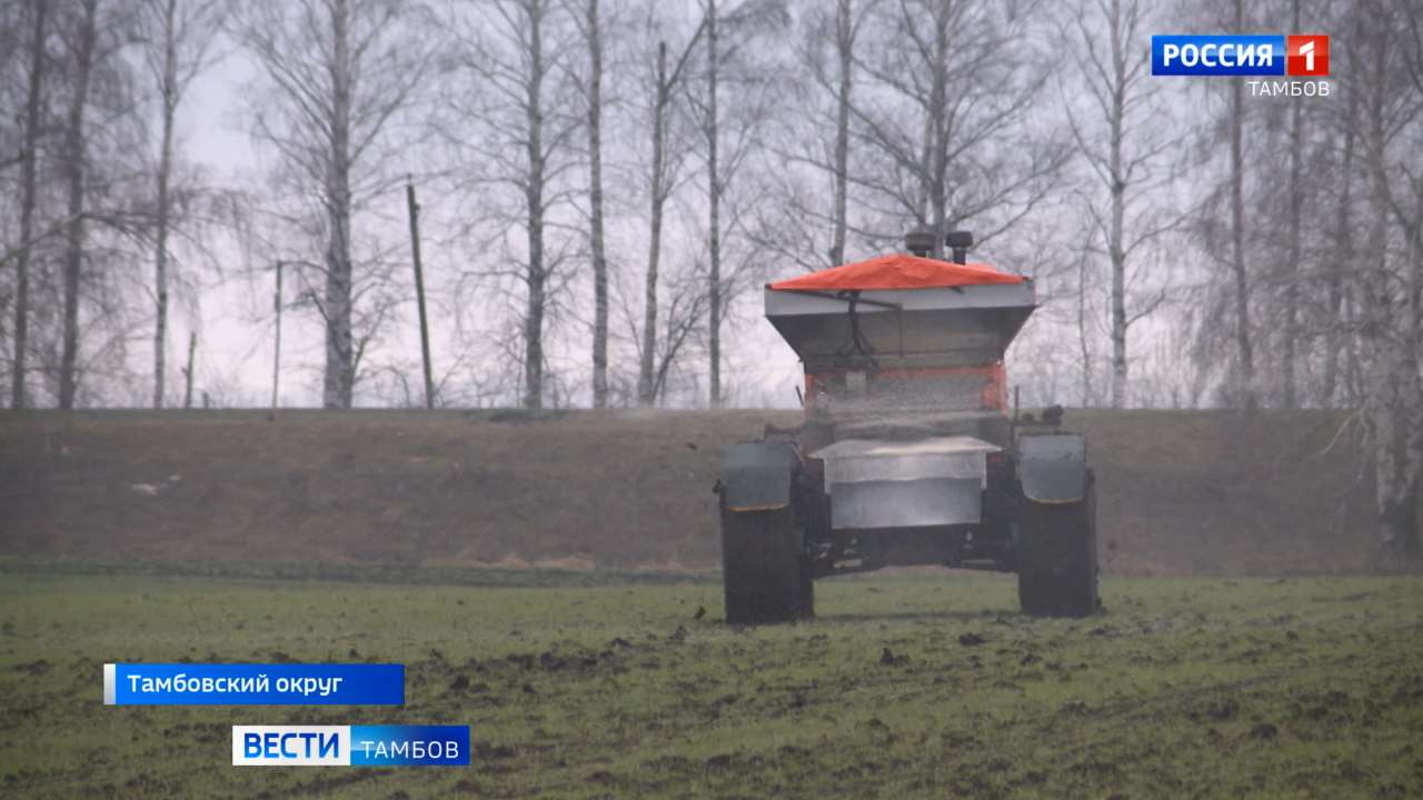 Аграрии Тамбовщины приступили к подкормке озимых культур