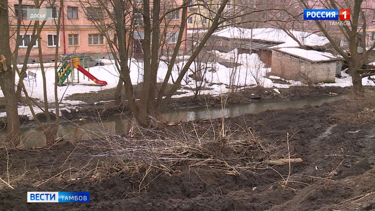 Новости коротко: перевоспитание юных вандалов из Куксова и аллея ив на набережной Студенца