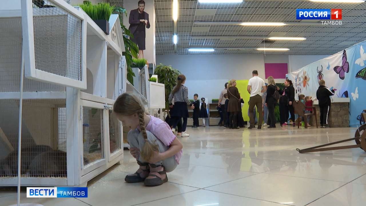 Тропики в центре Тамбова: в «Акварели» поселились бабочки и кролики