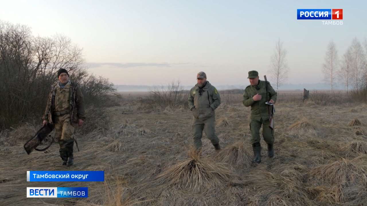 Ружья сдать: в Тамбовской области провели масштабный рейд по охотникам