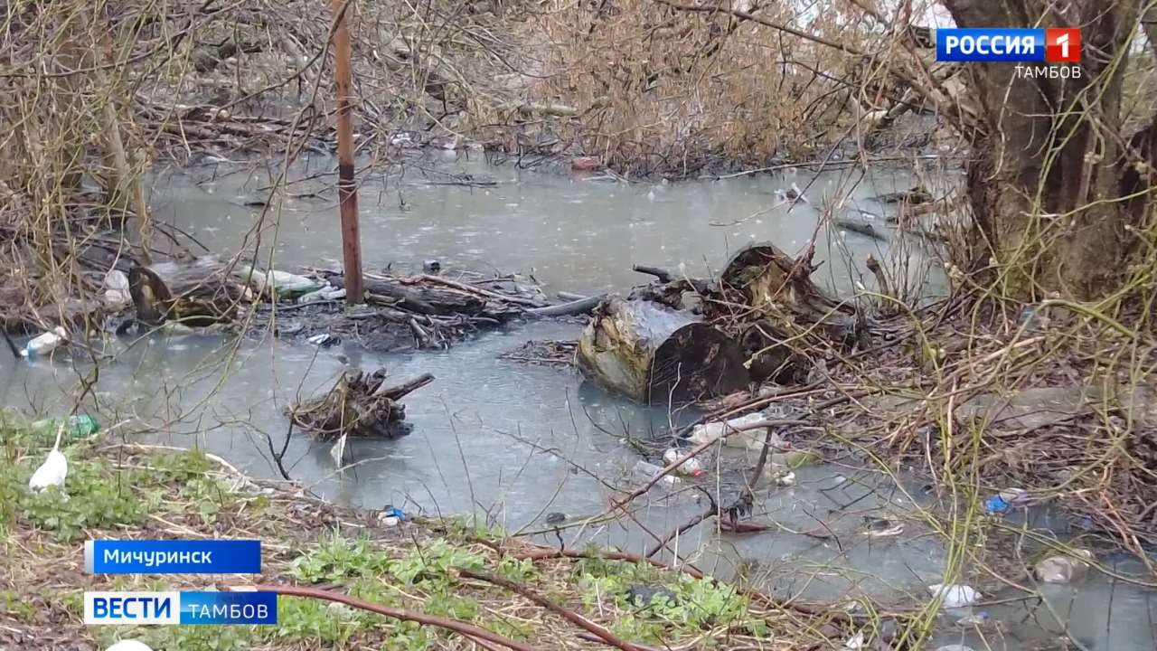 Ароматные реки: жители одной из улиц Мичуринска жалуются на неприятный запах
