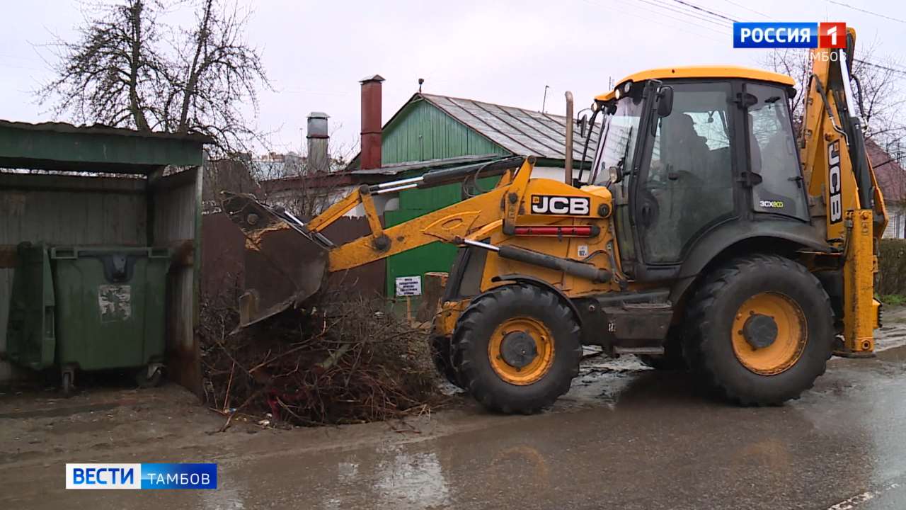 Чище город, меньше затрат: сортируйте древесно растительные отходы правильно!