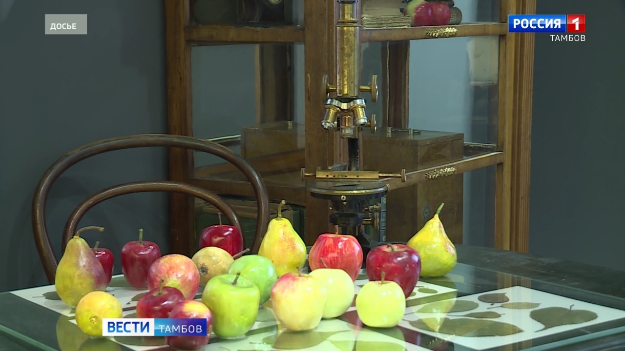 Тамбовчанам представят выставку «Свет неугасимый. Духовное наследие земли Тамбовской»