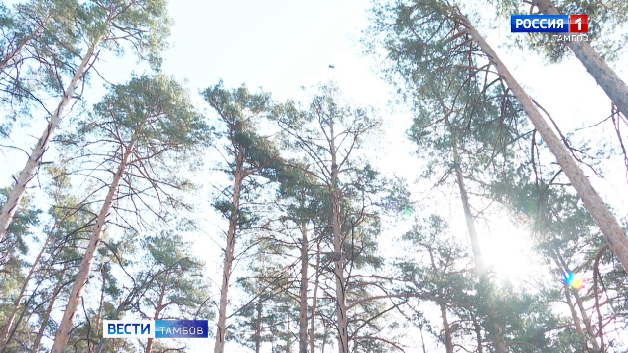 В Тамбовской области начался пожароопасный сезон