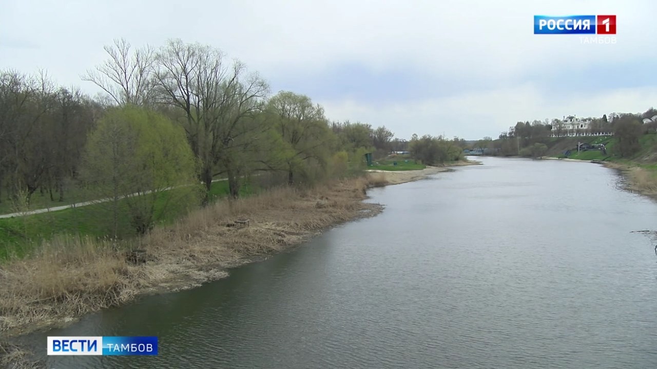 В Тамбове запустили проект по очистке берегов водоёмов «Чистый Тамбов»