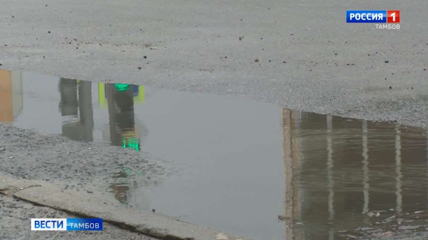 В Тамбове весна на паузе: ветер усиливается, осадки не отступают