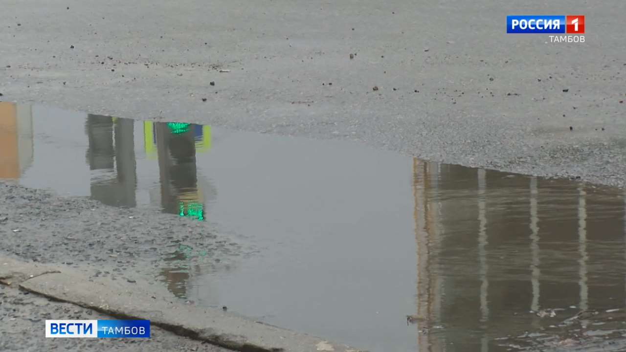 В Тамбове весна на паузе: ветер усиливается, осадки не отступают