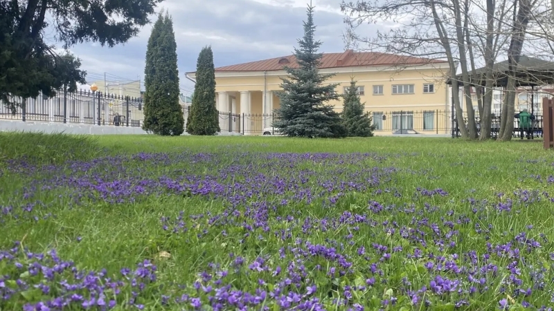 Открытие сезона в тамбовском парке культуры и отдыха переносится из-за дождя и холода