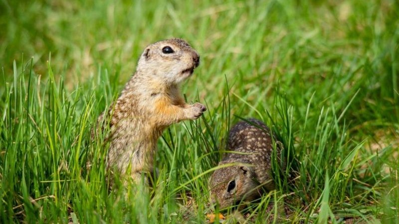 Коротко о важном. Хранители природных богатств Тамбовщины