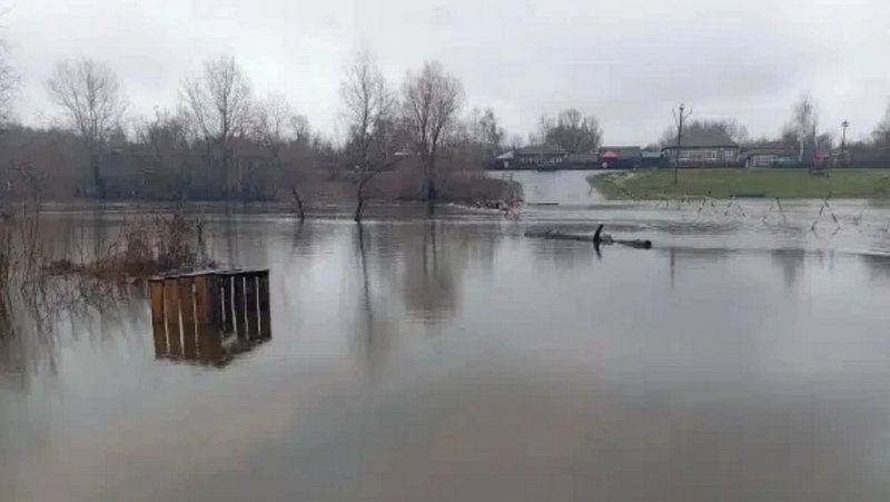 В Ржаксинском округе затопило низководный мост через Ворону