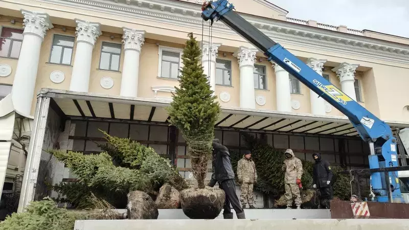 На улице Державинской началась высадка молодых елей