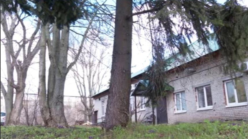 Боррелиоз и лихорадка Западного Нила: что нужно знать о клещах в Тамбовской области в 2026 м