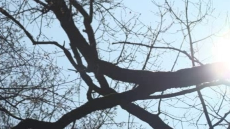 Откладывать зонтики на выходных тамбовчанам не стоит