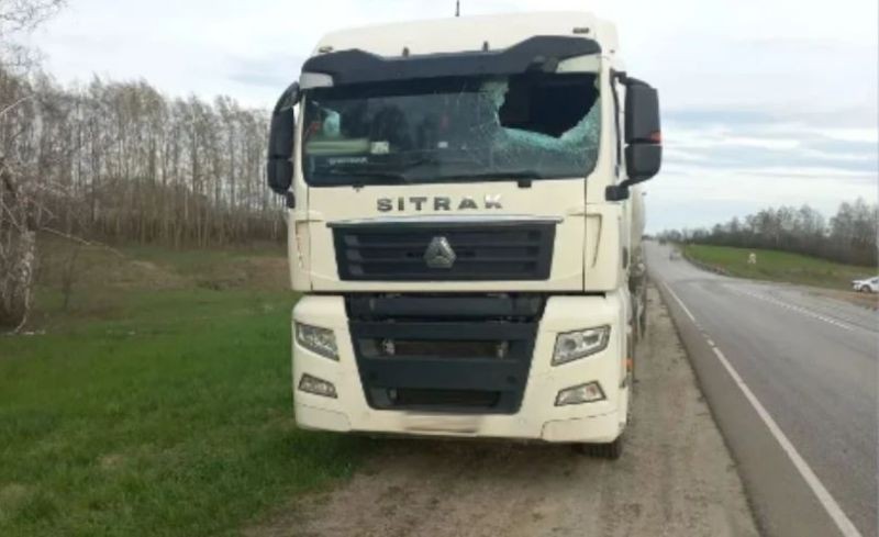 Водитель фуры попал в больницу из-за «прилета» в ветровое стекло