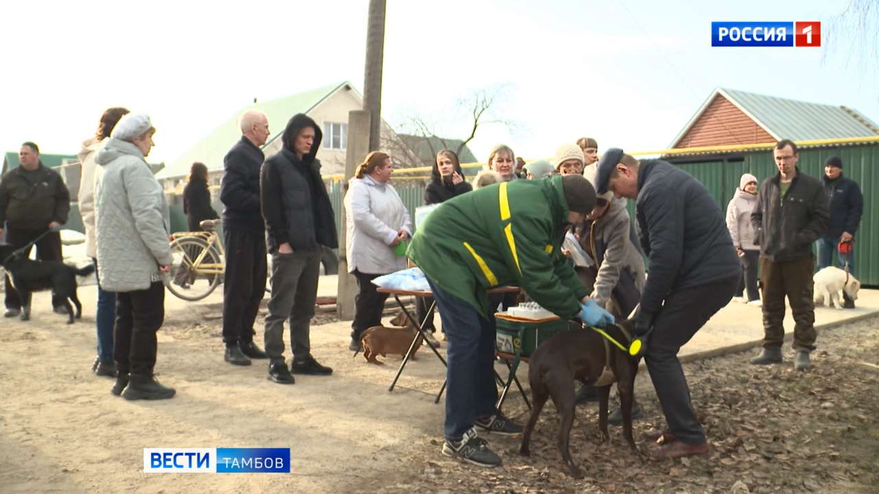 Владельцев домашних животных снова приглашают на бесплатную вакцинацию от бешенства