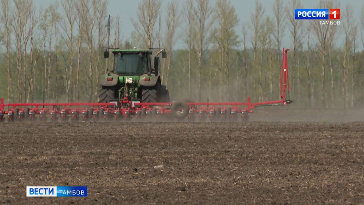 В Тамбовской области стартовала посевная кампания