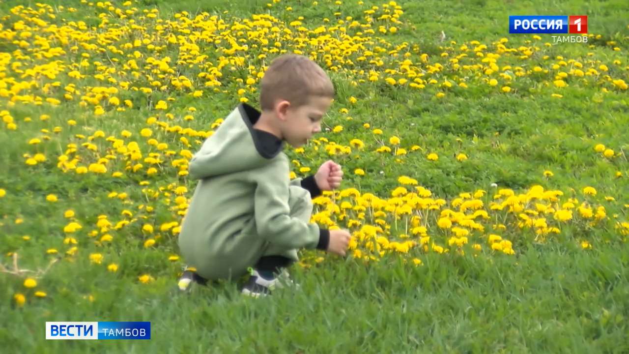 К выходным потеплеет, сообщили синоптики