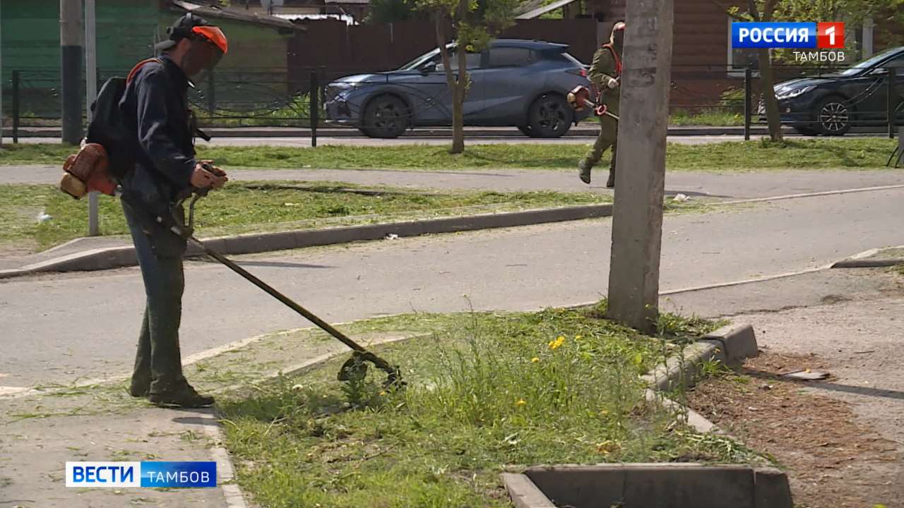 Стартовал сезон покоса травы