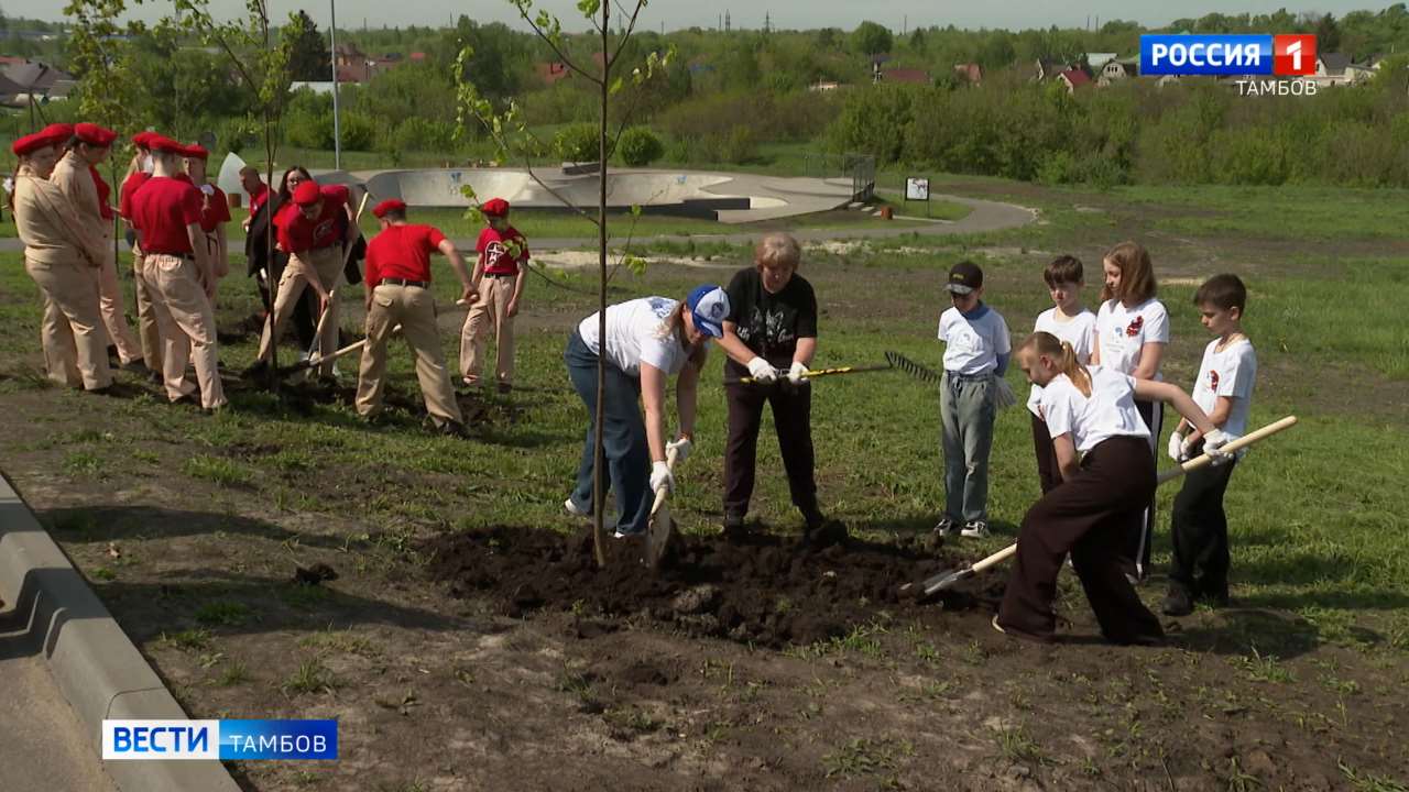 В Ласках высадили 100 крупномеров