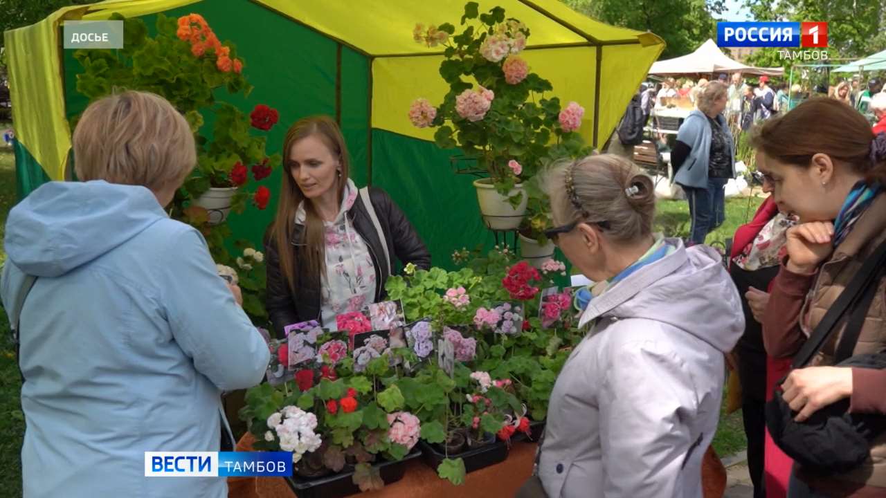 В Тамбове стартует Фестиваль цветов
