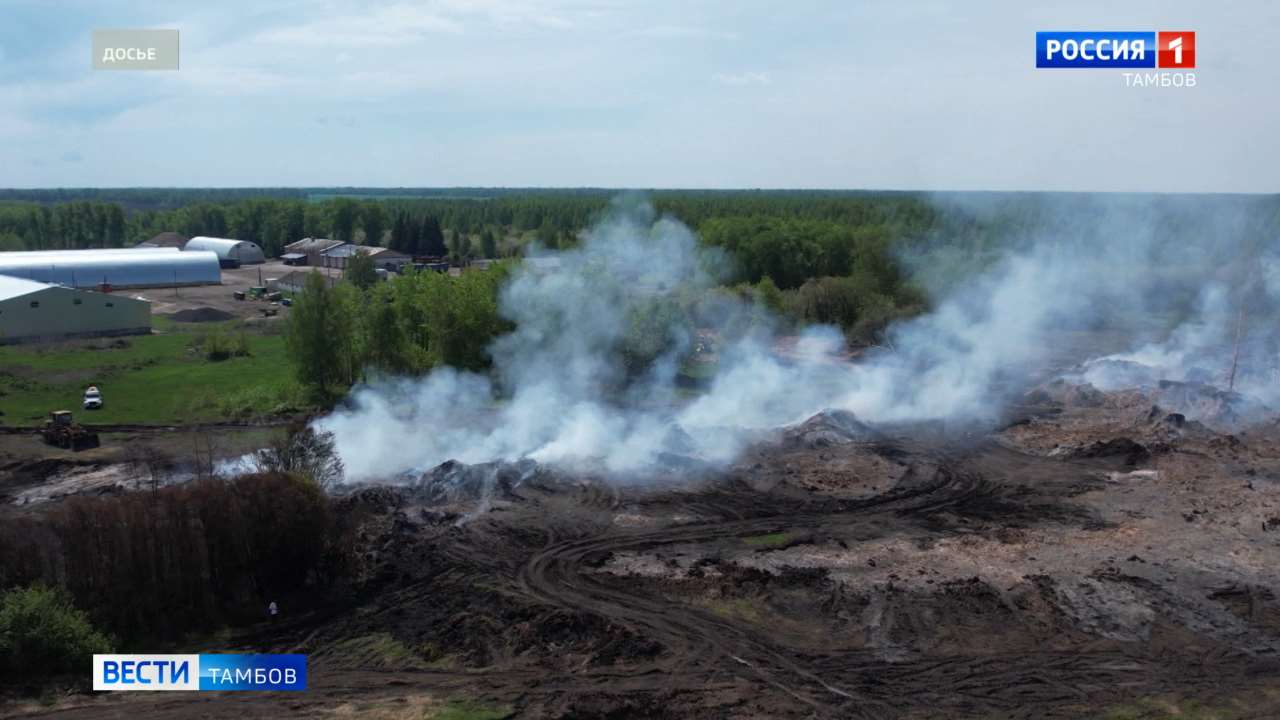Новости коротко: проверка информации о возгорании на землях сельхозназначения, неизвестный повредил бронзовую фигурку в Державинском сквере
