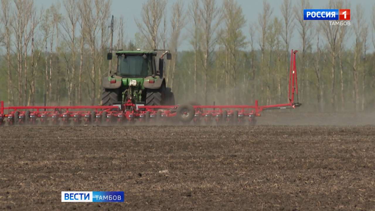Посевная в Тамбовской области продолжается Посевная в Тамбовской области продолжается