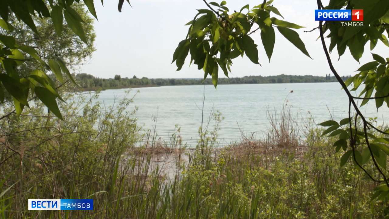 В голосовании за благоустройство лидируют Бокинские пруды