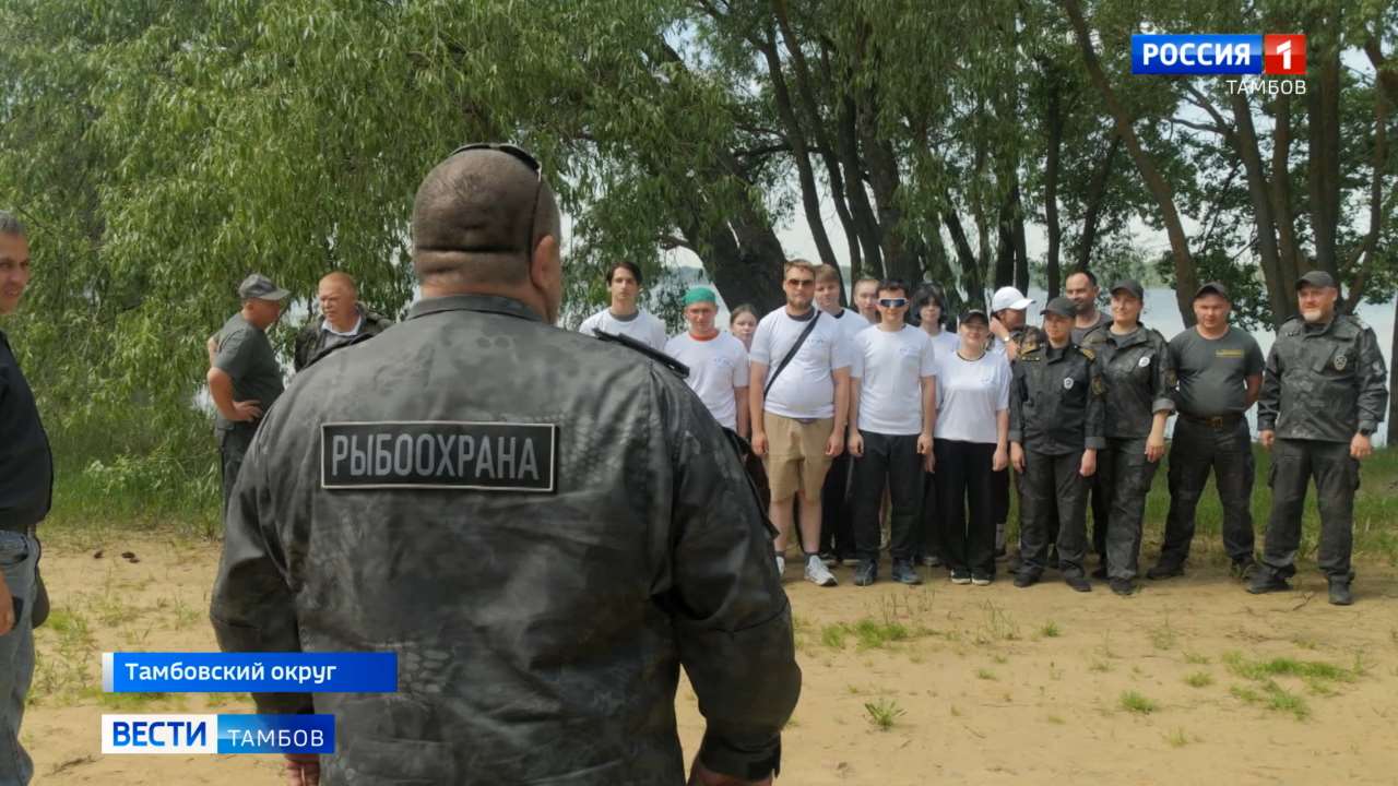 Через День без сетей - в Годы без сетей