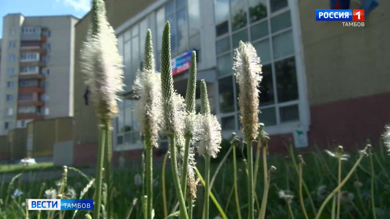Короткие дожди продолжатся до конца недели