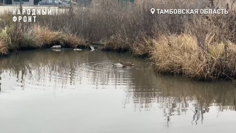 Канализация вместо двора: жители Слободы четвёртый год ждут решения проблемы Канализация вместо двора: жители Слободы четвёртый год ждут решения проблемы