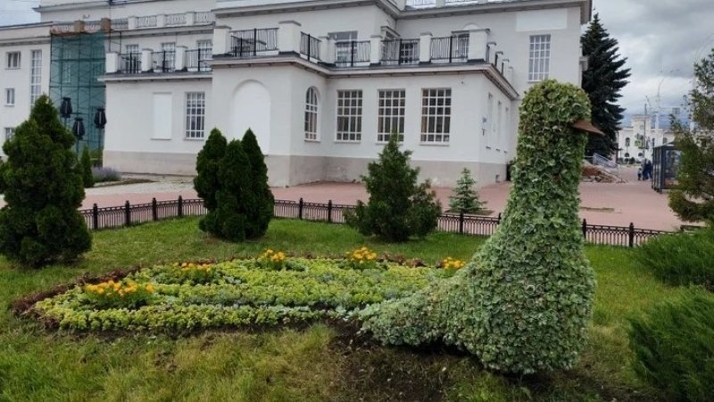 У «Знамёнки» снова распустил хвост Цветочный павлин