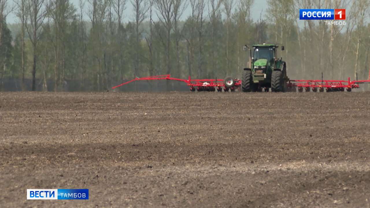 Новости коротко: посевная кампания и первый ОГЭ