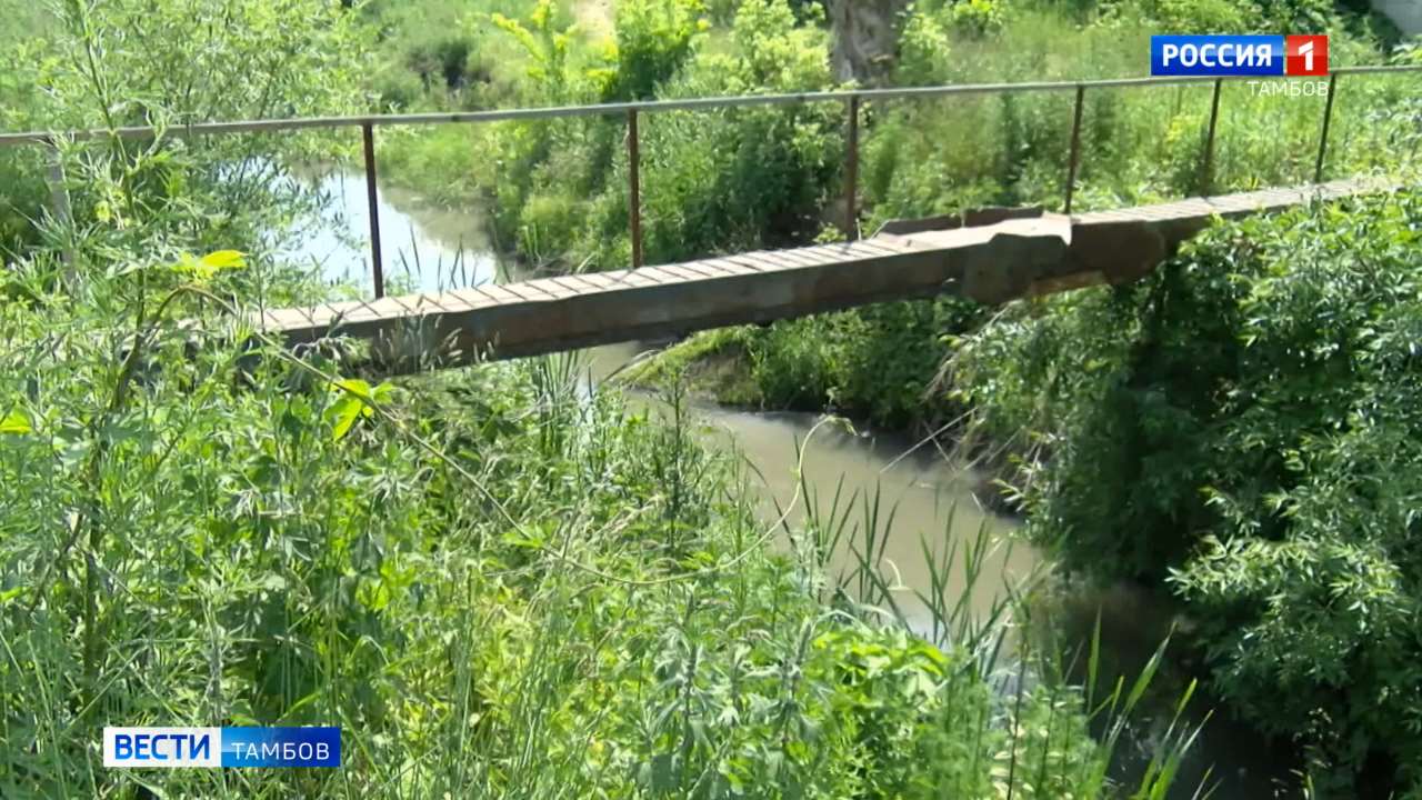 Студенец вновь не радует ароматами
