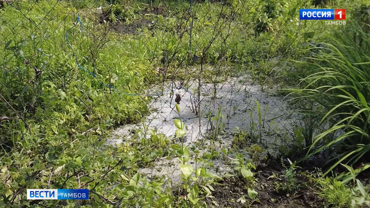 СТ «Медик» утопает в канализационных стоках