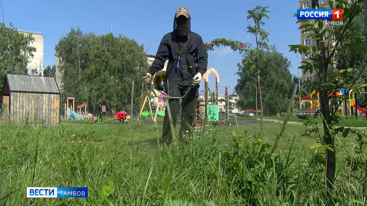 Теруправления контролируют покос травы управляющими компаниями