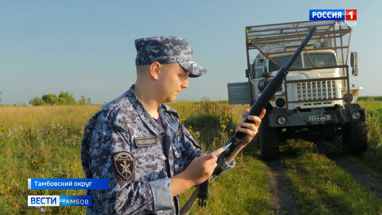 Браконьерам путь заказан: в Тамбовской области проверили соблюдение охотничьего законодательства