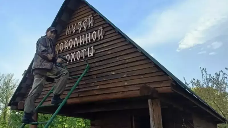 В Мичуринске 1 ноября откроют первый в регионе музей соколиной охоты