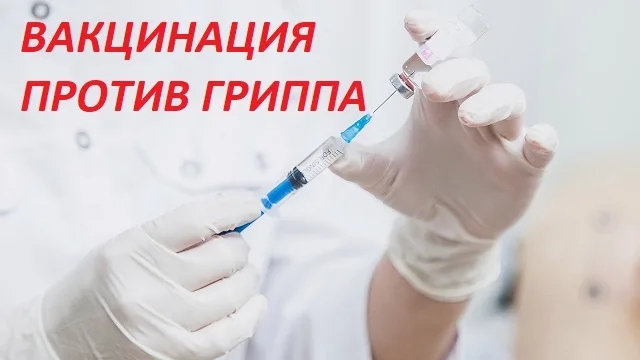 Первая партия вакцины против гриппа поступит в Тамбов через неделю Первая партия вакцины против гриппа поступит в Тамбов через неделю