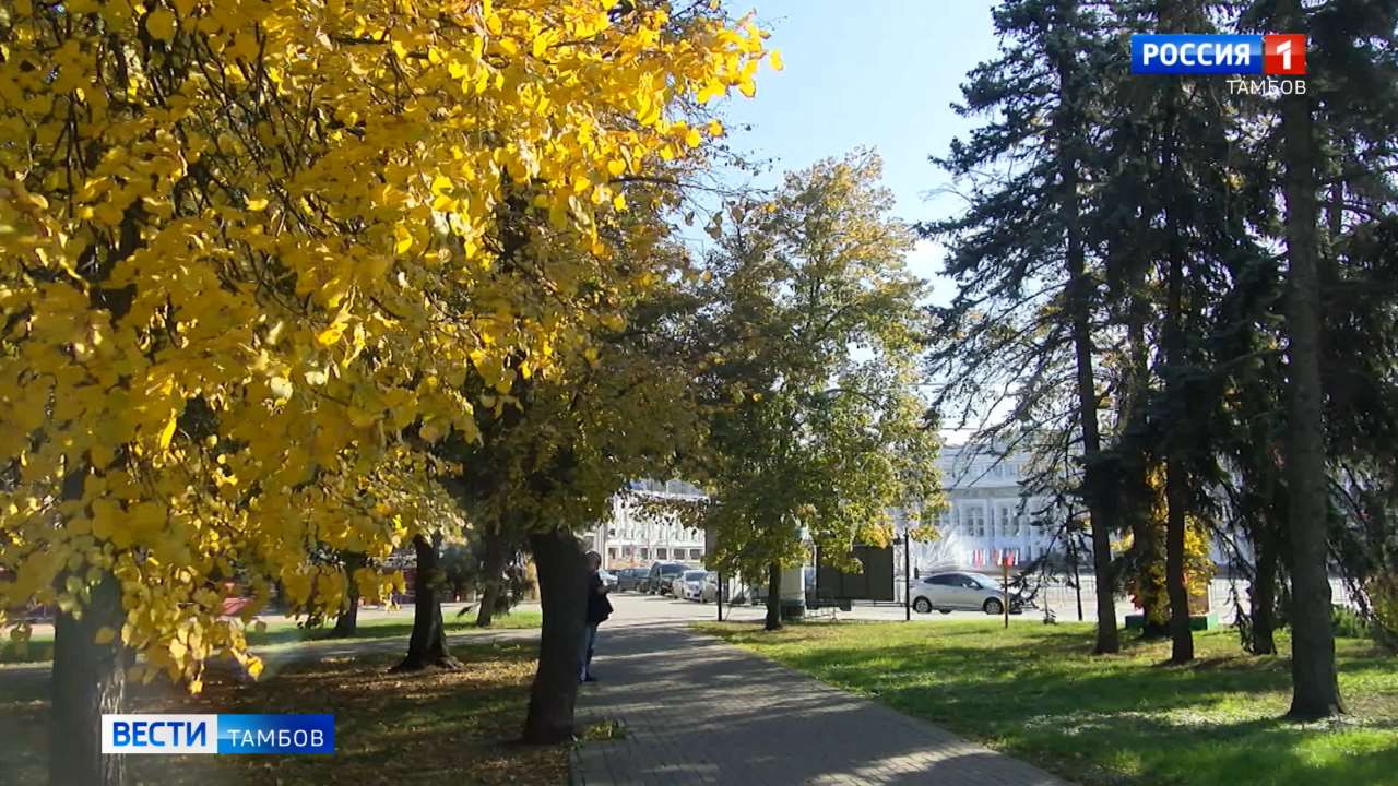 Бабье лето будет недолгим Бабье лето будет недолгим