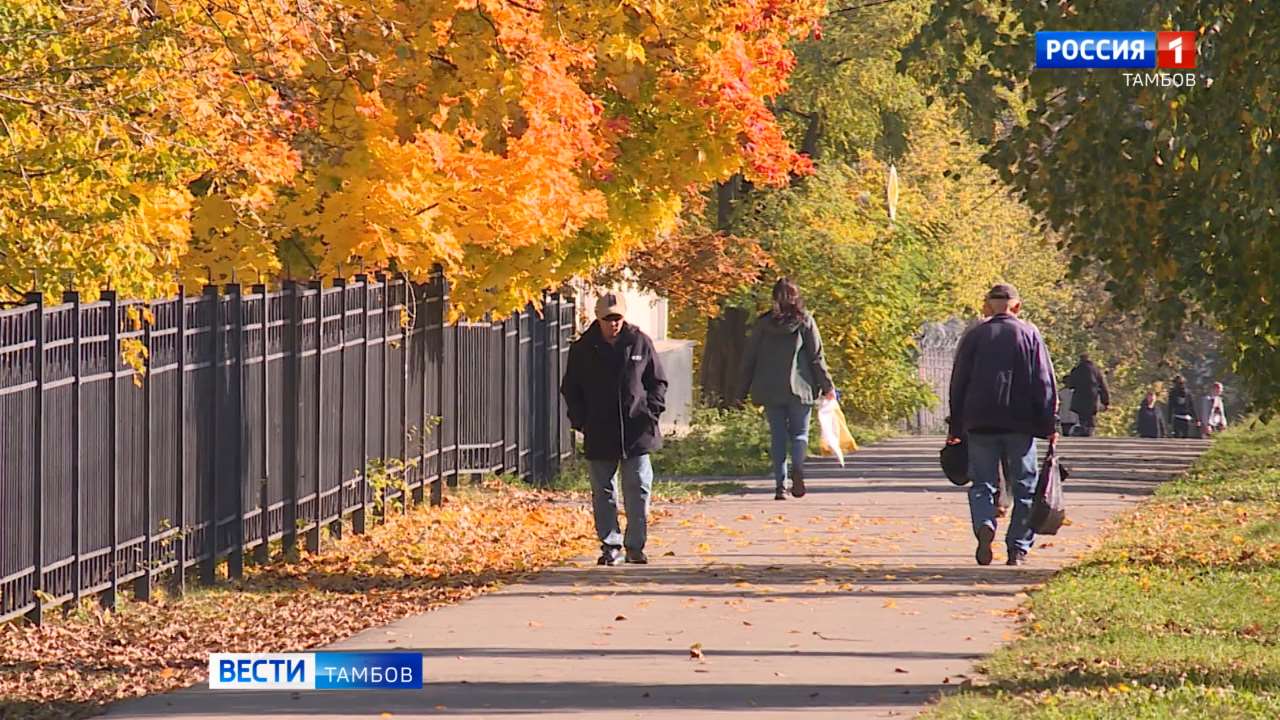 В сухую теплую погоду активизировались клещи В сухую теплую погоду активизировались клещи