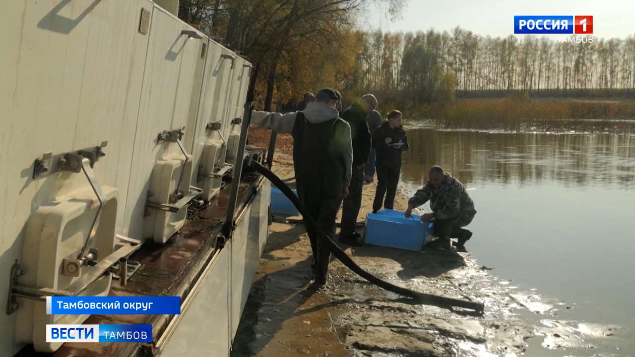 Рыбное новоселье: в водоёмы Тамбовской области выпустили толстолобика Рыбное новоселье: в водоёмы Тамбовской области выпустили толстолобика