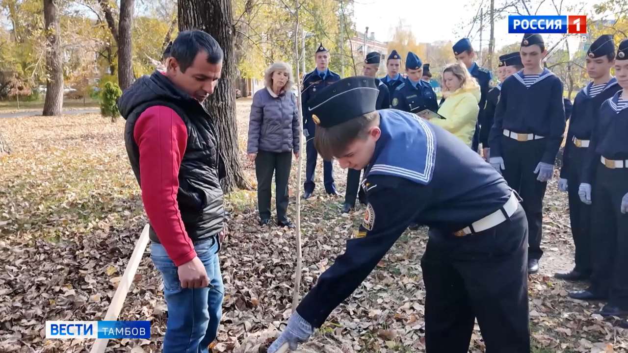 В сквере Еремеева кадеты волонтёры высадили деревья
