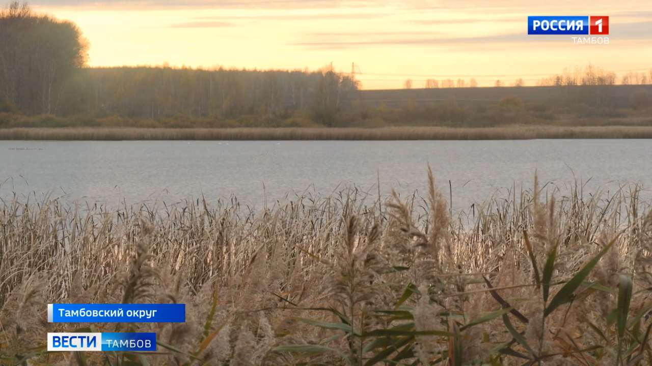 И снова тема пруда. С жителями Солдатской Духовки встретился Александр Орионов И снова тема пруда. С жителями Солдатской Духовки встретился Александр Орионов
