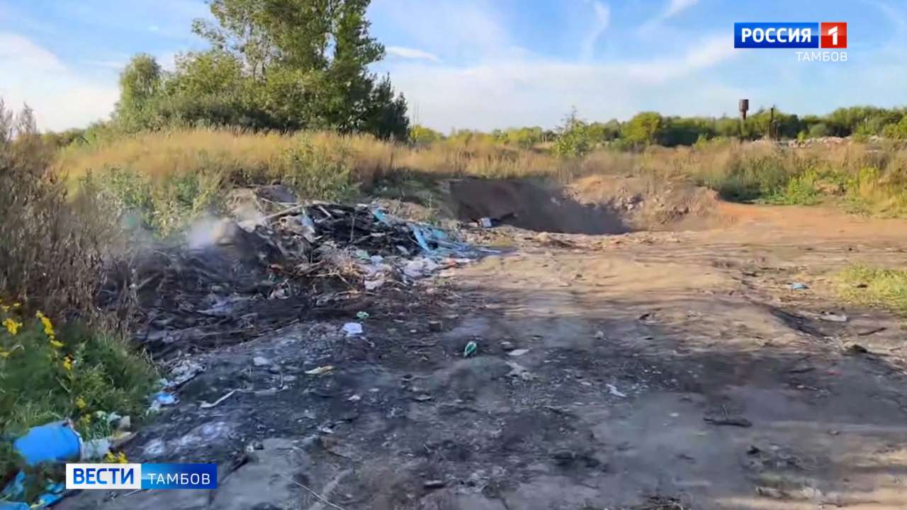 За загрязнение Татарского вала выписали несколько штрафов