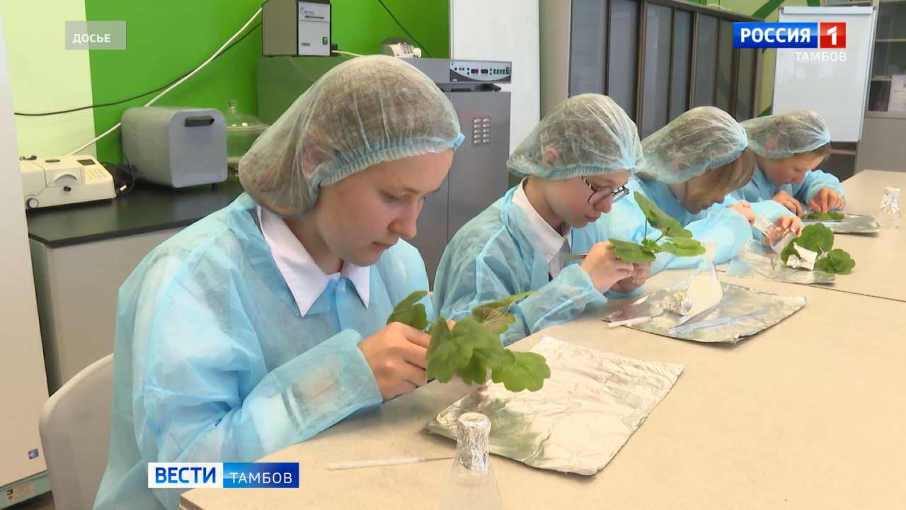 Лучшие практики школьных лесничеств приведут на семинаре в Татановской СОШ Лучшие практики школьных лесничеств приведут на семинаре в Татановской СОШ
