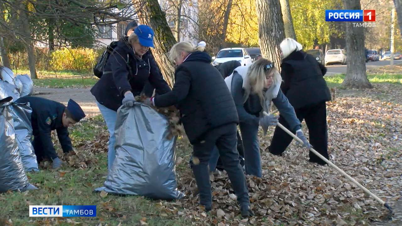 Листья в мешки, порядок в городе. Тамбов в очередной раз вышел на День ударного труда Листья в мешки, порядок в городе. Тамбов в очередной раз вышел на День ударного труда